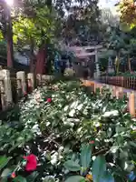 赤坂氷川神社(東京都)