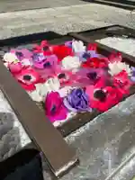 根岸八幡神社(神奈川県)