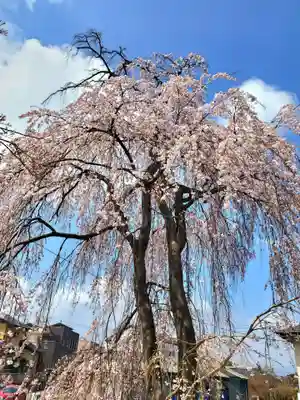 妙林寺(福島県)