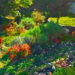 寿量山 速成寺(奈良県)(2023年11月01日(水) 09時03分56秒投稿)