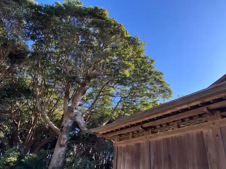 酒列磯前神社(茨城県)