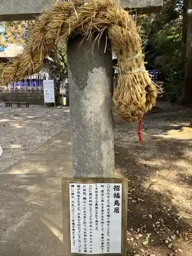 下野 星宮神社(栃木県)