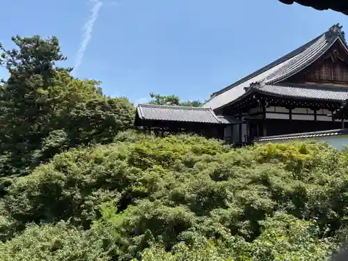 東福禅寺（東福寺）(京都府)