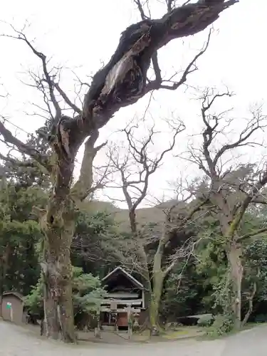 天石門別安国玉主天神社の自然