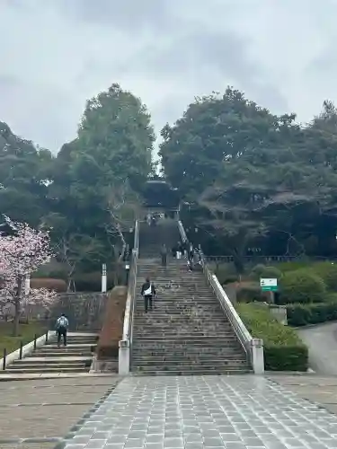 宇都宮二荒山神社の{uncategorized: "未分類", other: "その他", undefined: "問題あり", building: "その他建物", grave: "お墓", sacred_gate: "鳥居", guardian: "狛犬", statue: "像", buddha: "仏像", history: "歴史", nature: "自然", garden: "庭園", animal: "動物", pagoda: "塔", temizu: "手水舎", mountain_gate: "山門・神門", sanctuary: "本殿・本堂", subordinate: "末社・摂社", art: "芸術", scenery: "景色", jizo: "地蔵", ema: "絵馬", goshuin: "御朱印", omikuji: "おみくじ", items: "授与品その他", amulet: "お守り", goshuincho: "御朱印帳", eats: "食事", festival: "お祭り", votive_dance: "神楽", shichigosan: "七五三参", wedding: "結婚式", experience: "体験その他", initially: "初詣", around: "周辺", anti_infection: "感染症対策"}