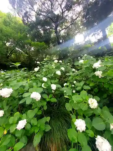 二本松寺(茨城県)