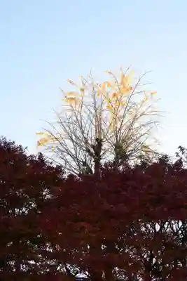 国宝　長寿寺(滋賀県)