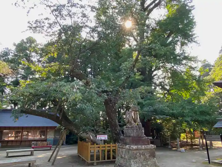 水戸八幡宮の自然