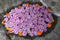 田村神社の手水舎