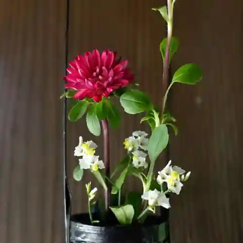 帯廣神社の手水舎