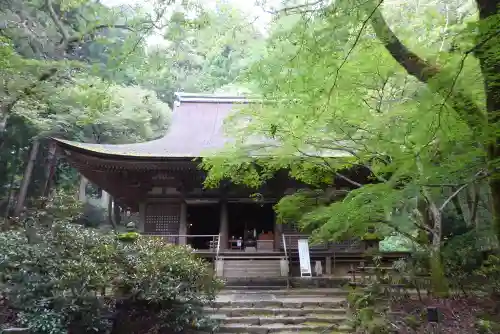 室生寺の本殿・本堂