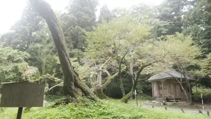 磐椅神社(福島県)