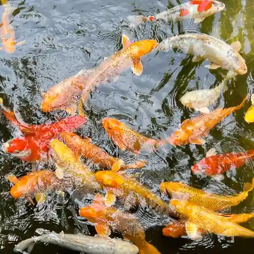 石鎚神社 口之宮 本社(愛媛県)