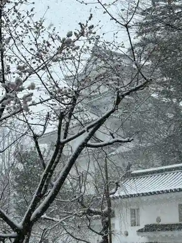濃飛護國神社の{uncategorized: "未分類", other: "その他", undefined: "問題あり", building: "その他建物", grave: "お墓", sacred_gate: "鳥居", guardian: "狛犬", statue: "像", buddha: "仏像", history: "歴史", nature: "自然", garden: "庭園", animal: "動物", pagoda: "塔", temizu: "手水舎", mountain_gate: "山門・神門", sanctuary: "本殿・本堂", subordinate: "末社・摂社", art: "芸術", scenery: "景色", jizo: "地蔵", ema: "絵馬", goshuin: "御朱印", omikuji: "おみくじ", items: "授与品その他", amulet: "お守り", goshuincho: "御朱印帳", eats: "食事", festival: "お祭り", votive_dance: "神楽", shichigosan: "七五三参", wedding: "結婚式", experience: "体験その他", initially: "初詣", around: "周辺", anti_infection: "感染症対策"}