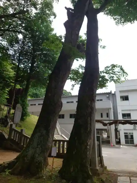 手長神社(長野県)
