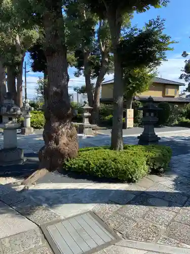 松陰神社の周辺