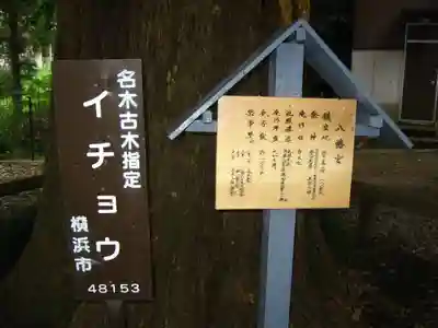 八幡宮(神奈川県)