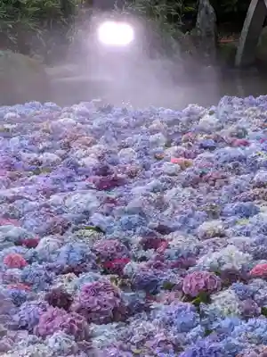 楽法寺(雨引観音)のお祭り