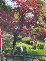 眞覚寺(東京都)