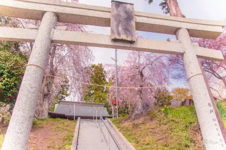 伊豆左比賣神社(宮城県)