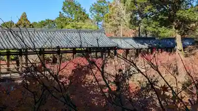 東福禅寺(東福寺)(京都府)