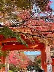 真正極楽寺（真如堂）の山門