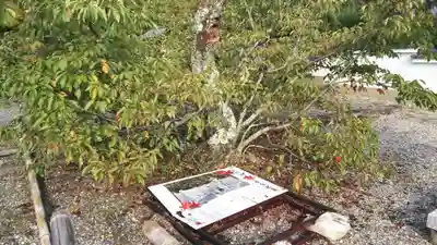 光明寺（粟生光明寺）のその他建物