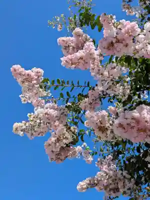 潮田神社(神奈川県)
