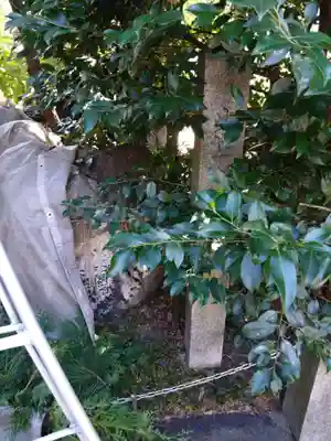 水火天満宮(京都府)