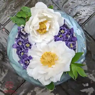 立志神社(滋賀県)