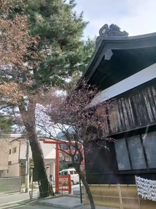猿田彦神社の{uncategorized: "未分類", other: "その他", undefined: "問題あり", building: "その他建物", grave: "お墓", sacred_gate: "鳥居", guardian: "狛犬", statue: "像", buddha: "仏像", history: "歴史", nature: "自然", garden: "庭園", animal: "動物", pagoda: "塔", temizu: "手水舎", mountain_gate: "山門・神門", sanctuary: "本殿・本堂", subordinate: "末社・摂社", art: "芸術", scenery: "景色", jizo: "地蔵", ema: "絵馬", goshuin: "御朱印", omikuji: "おみくじ", items: "授与品その他", amulet: "お守り", goshuincho: "御朱印帳", eats: "食事", festival: "お祭り", votive_dance: "神楽", shichigosan: "七五三参", wedding: "結婚式", experience: "体験その他", initially: "初詣", around: "周辺", anti_infection: "感染症対策"}