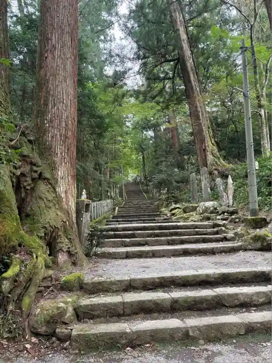 最乗寺(道了尊)(神奈川県)