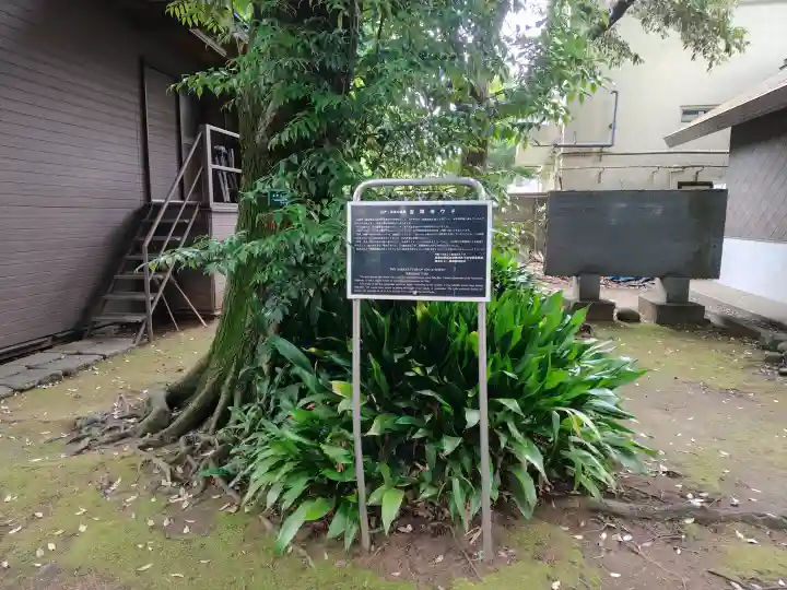 武蔵野八幡宮の{uncategorized: "未分類", other: "その他", undefined: "問題あり", building: "その他建物", grave: "お墓", sacred_gate: "鳥居", guardian: "狛犬", statue: "像", buddha: "仏像", history: "歴史", nature: "自然", garden: "庭園", animal: "動物", pagoda: "塔", temizu: "手水舎", mountain_gate: "山門・神門", sanctuary: "本殿・本堂", subordinate: "末社・摂社", art: "芸術", scenery: "景色", jizo: "地蔵", ema: "絵馬", goshuin: "御朱印", omikuji: "おみくじ", items: "授与品その他", amulet: "お守り", goshuincho: "御朱印帳", eats: "食事", festival: "お祭り", votive_dance: "神楽", shichigosan: "七五三参", wedding: "結婚式", experience: "体験その他", initially: "初詣", around: "周辺", anti_infection: "感染症対策"}