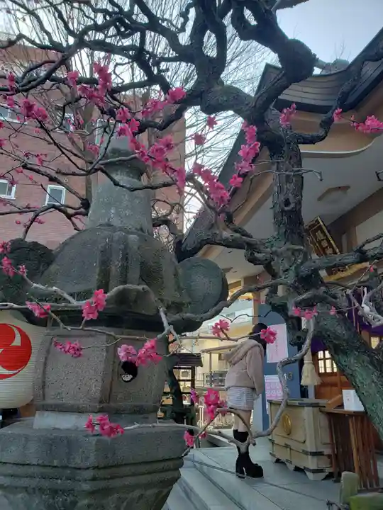 穏田神社(東京都)