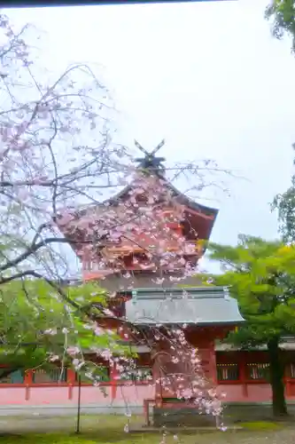 富士山本宮浅間大社(静岡県)