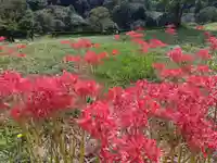 朝倉神社(福井県)