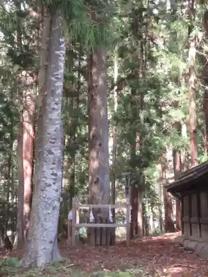 諏訪大社下社秋宮のその他建物