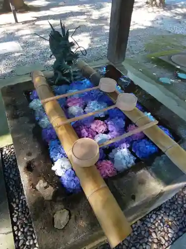 蠶養國神社の手水