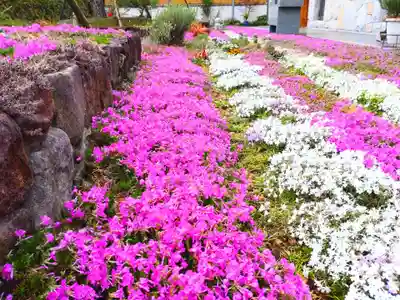 寿量山 速成寺(奈良県)