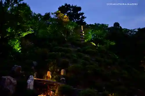 根来寺 智積院の庭園