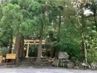 飛瀧神社(熊野那智大社別宮)の鳥居