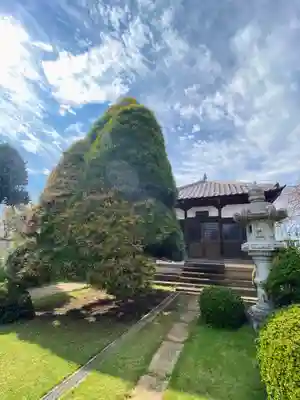 建正寺(埼玉県)