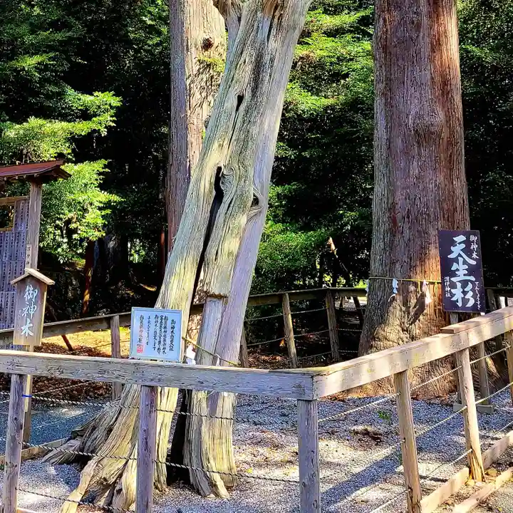 渭伊神社(静岡県)