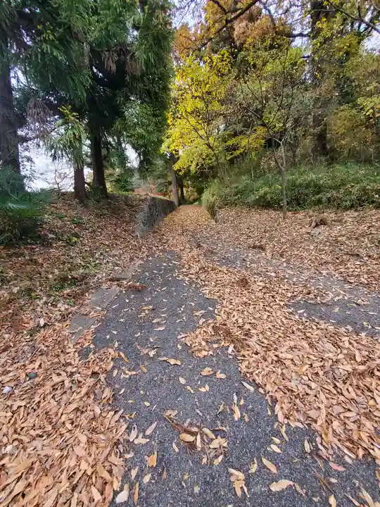 山神社(嘉多山町)(栃木県)