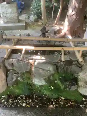 萱津神社の手水舎