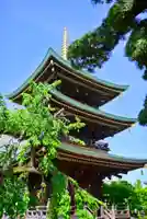 三学院(埼玉県)