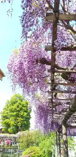 亀戸天神社の庭園