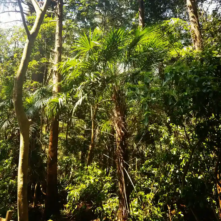 鹿島神宮の自然