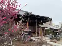 蓮花寺(大阪府)