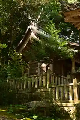 三島神社(藤縄森三島神社)(愛媛県)